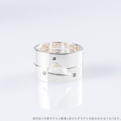 阿良々木暦モデルのリングセットと、戦場ヶ原ひたぎモデルのリングセット。