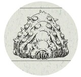 アニメージュとジブリ展 本日開始 内覧会で島本須美がナウシカのセリフ生披露 イベントレポート 画像枚 コミックナタリー