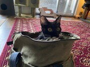 若かりし日ののり。