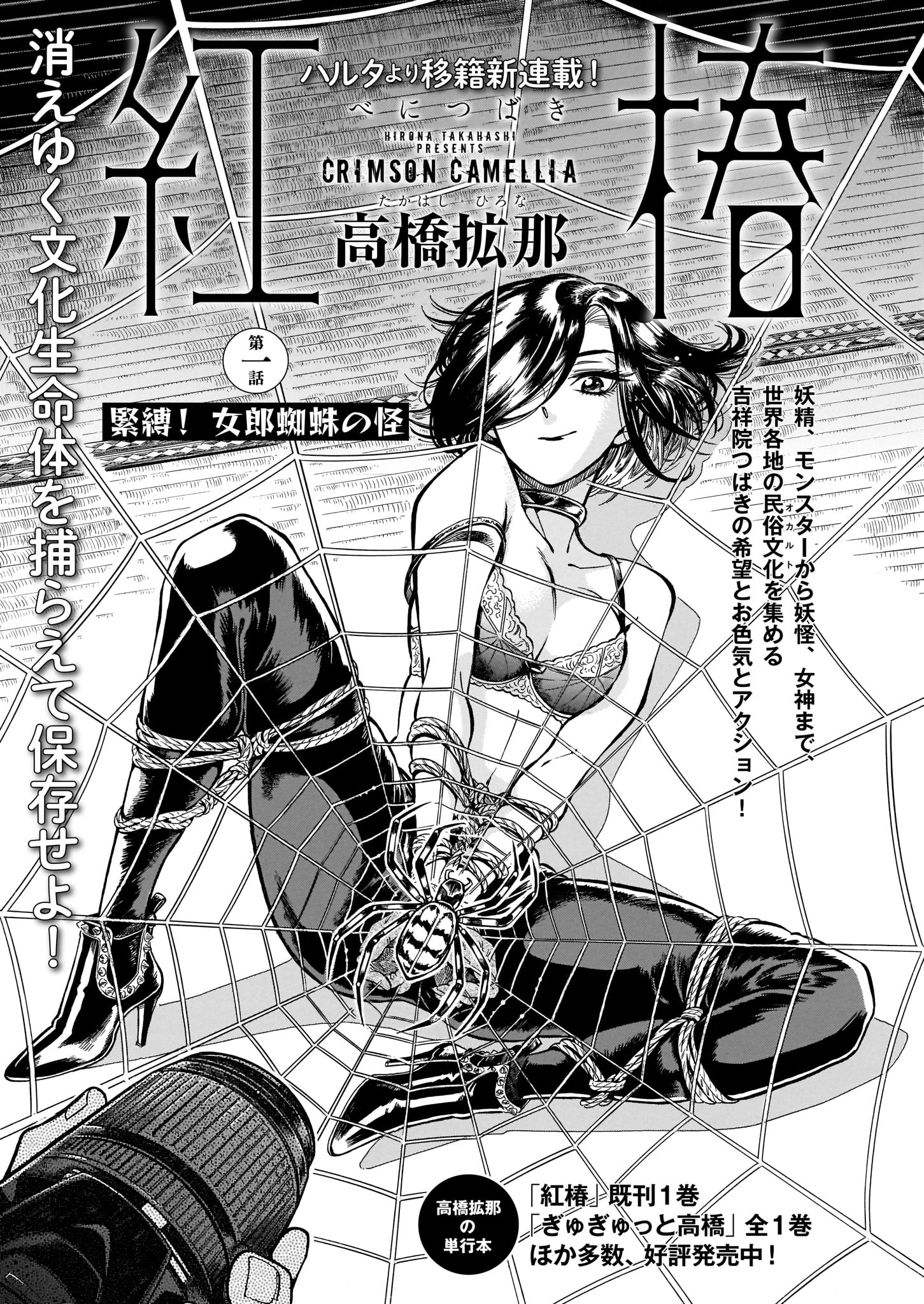 高橋拡那「紅椿」