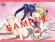 とらのあなの法人特典・B2タペストリー。