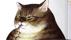 猫アニメ「俺、つしま」7月放送、大塚明夫・田中真弓のキャラボイス入りPV公開