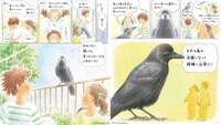 「青い羽みつけた！―さがしてみよう 身近な鳥たち―」試し読み。