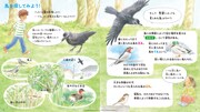 「青い羽みつけた！―さがしてみよう 身近な鳥たち―」試し読み。