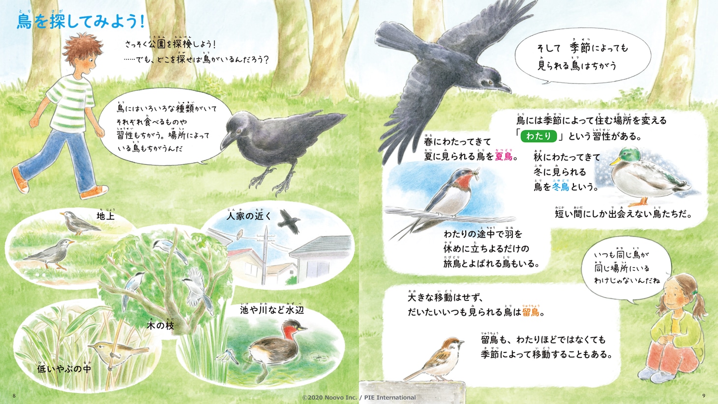「青い羽みつけた！―さがしてみよう 身近な鳥たち―」試し読み。