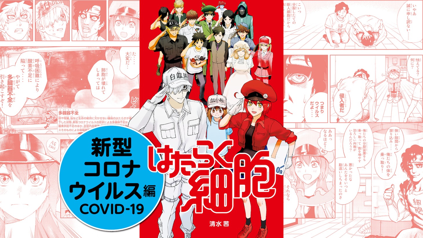「新型コロナウイルス編」より。(c)清水茜／講談社