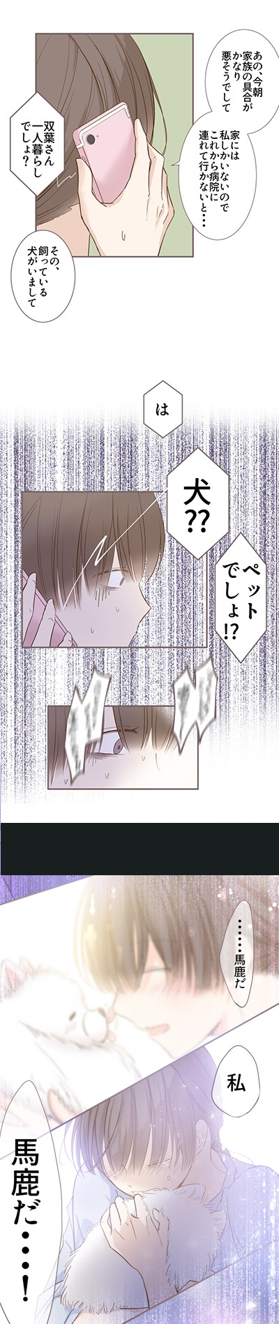 「聖女は竜騎士様にまもられて」より。