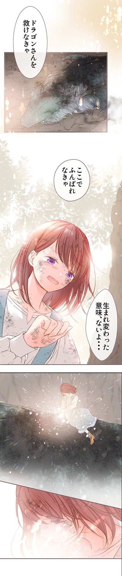 「聖女は竜騎士様にまもられて」より。