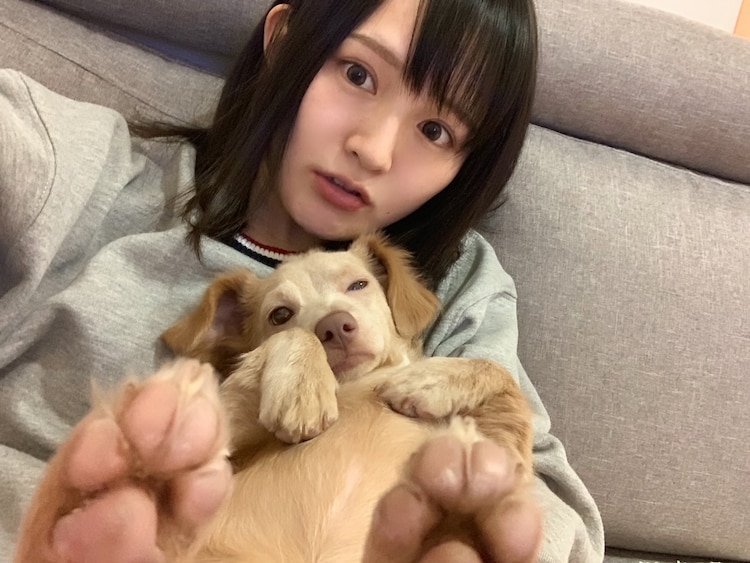 西明日香 まめ太 私とペット 第23回 コミックナタリー