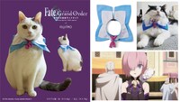 「劇場版 Fate/Grand Order -神聖円卓領域キャメロット- フォウ風なりきり猫用首輪」