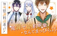 「勿論、慰謝料請求いたします！」ビジュアル