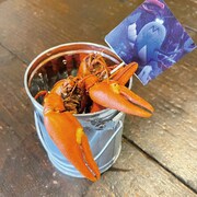 米とサーカスで提供される「モケモケの麻辣炒め」。