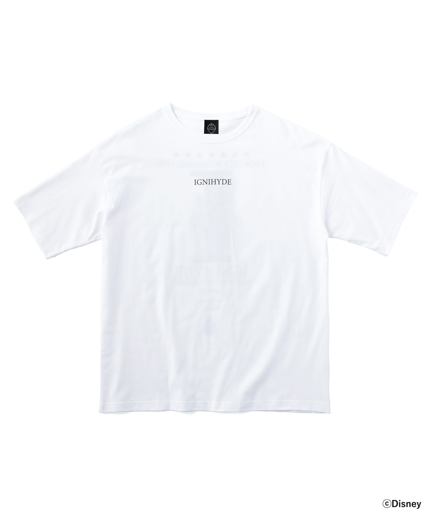 「ディズニー ツイステッドワンダーランド/ビッグシルエットTシャツ/イグニハイド寮」