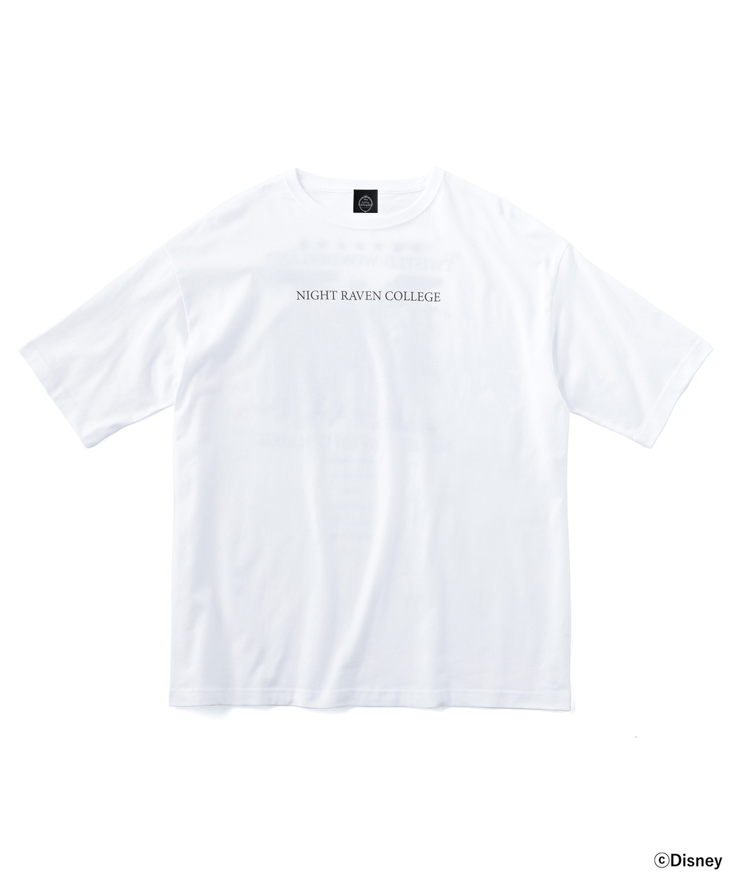 「ディズニー ツイステッドワンダーランド/ビッグシルエットTシャツ/ナイトレイブンカレッジ」