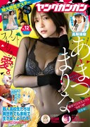 ヤングガンガン12号