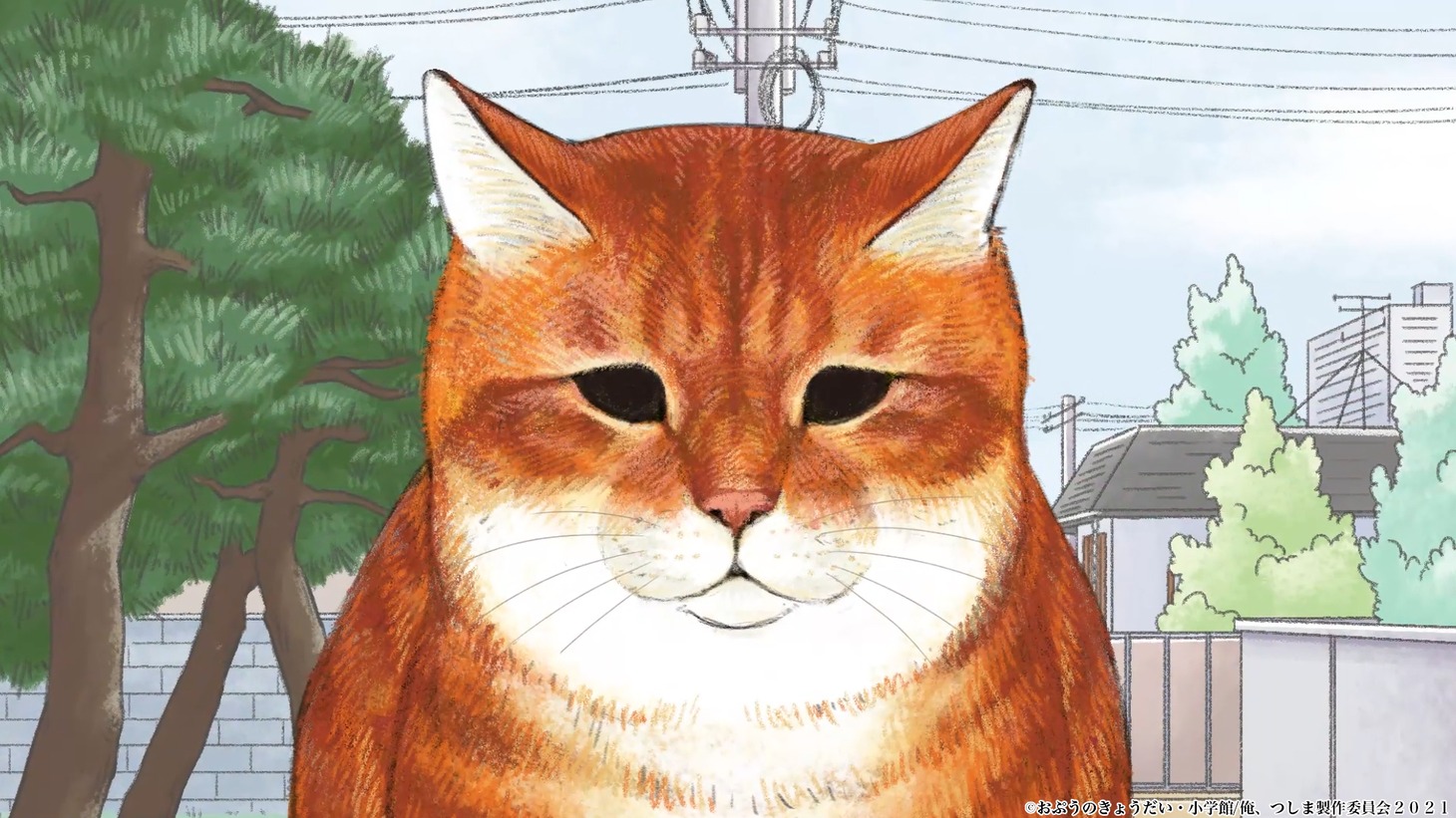 オサム（CV：松山鷹志）。地回り猫としておじいちゃん家にもたまに顔を出す。そこそこ長い付き合いのはずなのに、未だにおじいちゃんに馴れてくれない。(c)おぷうのきょうだい・小学館/ 俺、つしま製作委員会2021