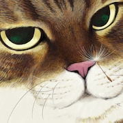 猫アニメ「俺、つしま」新PV公開、追加キャストに小山茉美・岡本信彦・松山鷹志