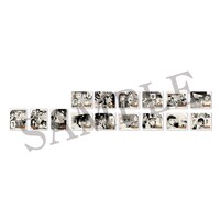 「CoLotta トレーディングアクリルプレートキーホルダー」