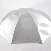 「傘：アバンモデル」