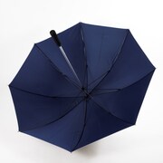 「傘：アバンモデル」