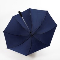 「傘：アバンモデル」