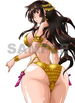 COMIC ZIN特典