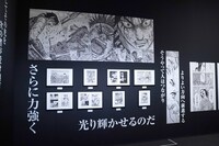 「キングダ「キングダム展 －信－」より。
