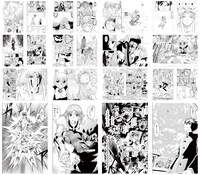 「『金色のガッシュ!!』20周年 シン・オウエン・フェア」の特典として用意された、雷句誠が選ぶ全16種の名場面ポストカード。