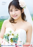 十味のグラビアを使用した付録クリアファイル（裏）。