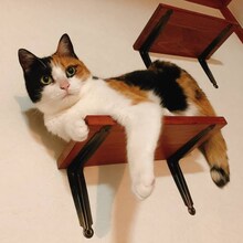 うに(c)谷口菜津子