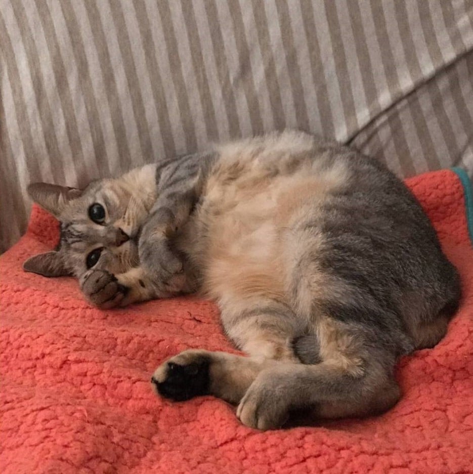 ふみ(c)谷口菜津子