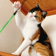 うに(c)谷口菜津子