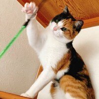 うに(c)谷口菜津子