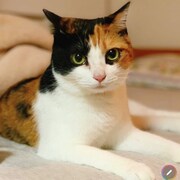 うに(c)谷口菜津子