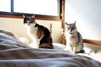 左からうに、ふみ。