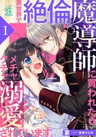 「異世界で絶倫魔導師に買われたらメチャクチャ溺愛されています。」