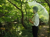 ホテルニューオータニの敷地内にある日本庭園の様子。