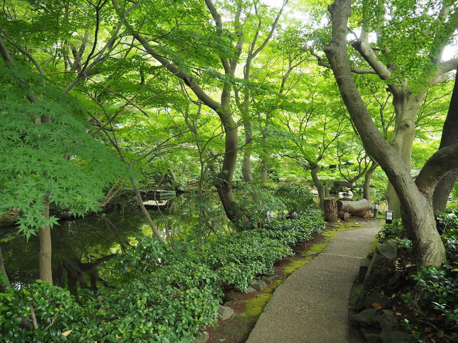 ホテルニューオータニの敷地内にある日本庭園の様子。