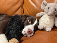 顔がよく見える、お友達と。