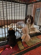 お友達が面会に来た。