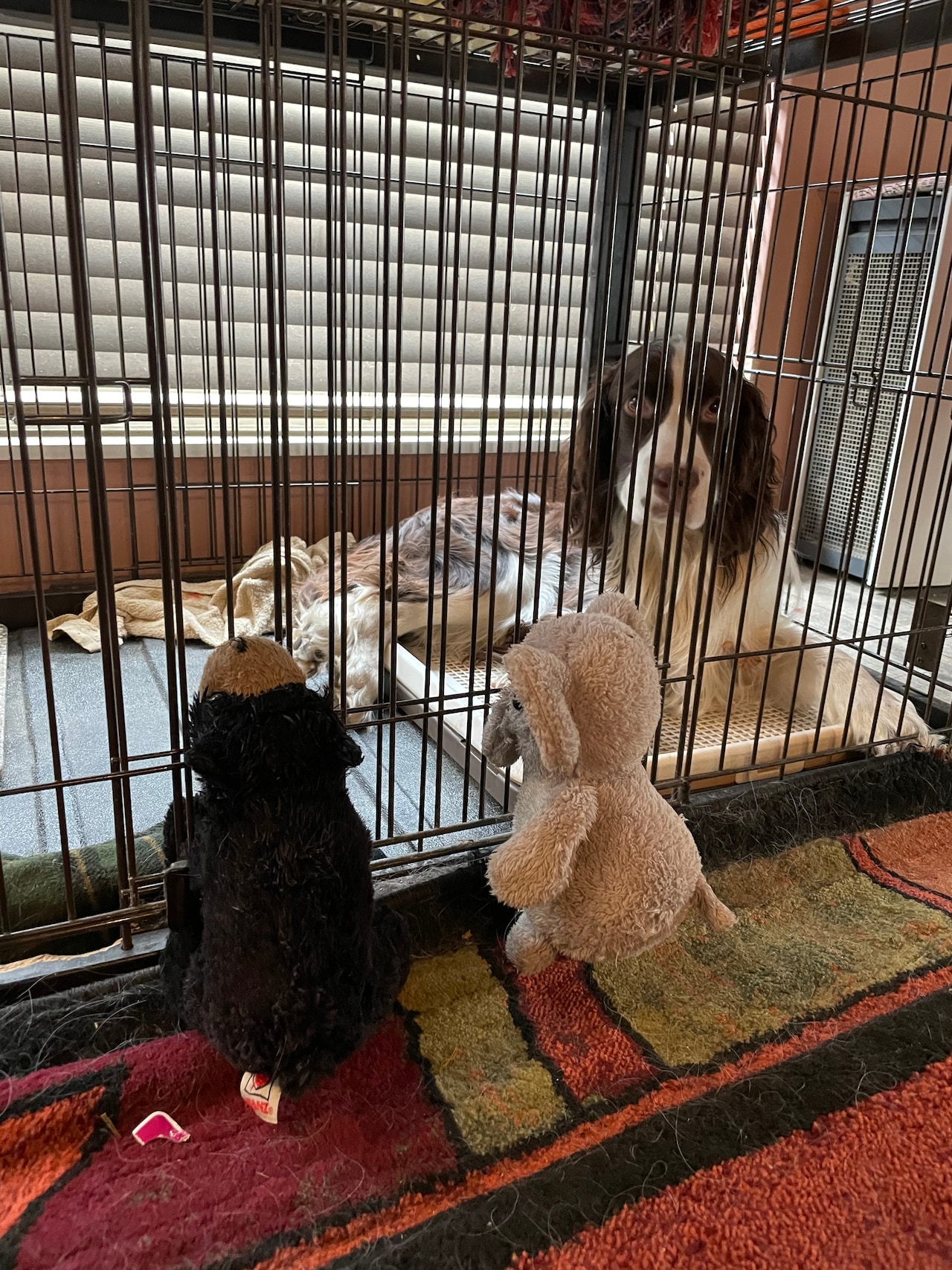 お友達が面会に来た。