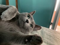 おまけのぐるちゃん。