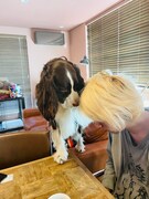 浅野いにお先生を励ましているモーグくん。