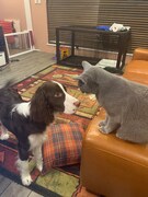 モーグくんとぐるちゃん。