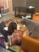 モーグくんとぐるちゃん。