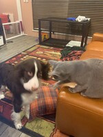 ぐるちゃんといつもの寸劇。