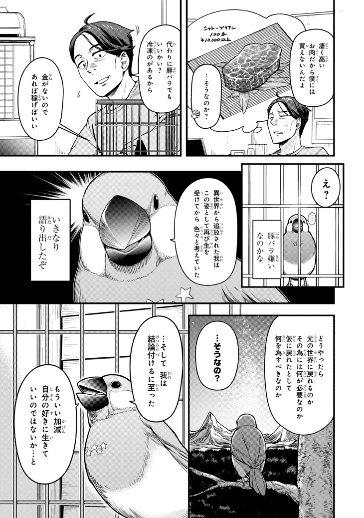 「佐々木とピーちゃん 異世界でスローライフを楽しもうとしたら、現代で異能バトルに巻き込まれた件 ～魔法少女がアップを始めたようです～」1巻より。