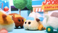 「PUI PUI モルカー」場面写真