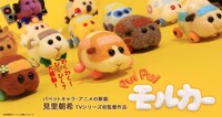 「PUI PUI モルカー」ビジュアル
