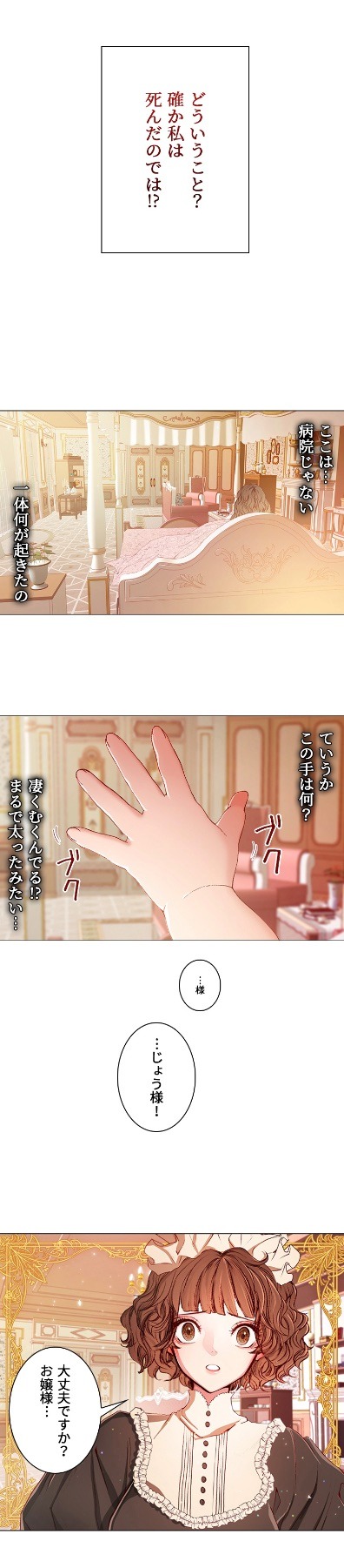 「不細工の公女になりました」より。